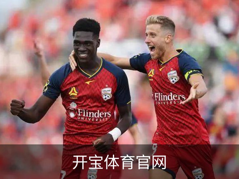开宝体育官网简介
